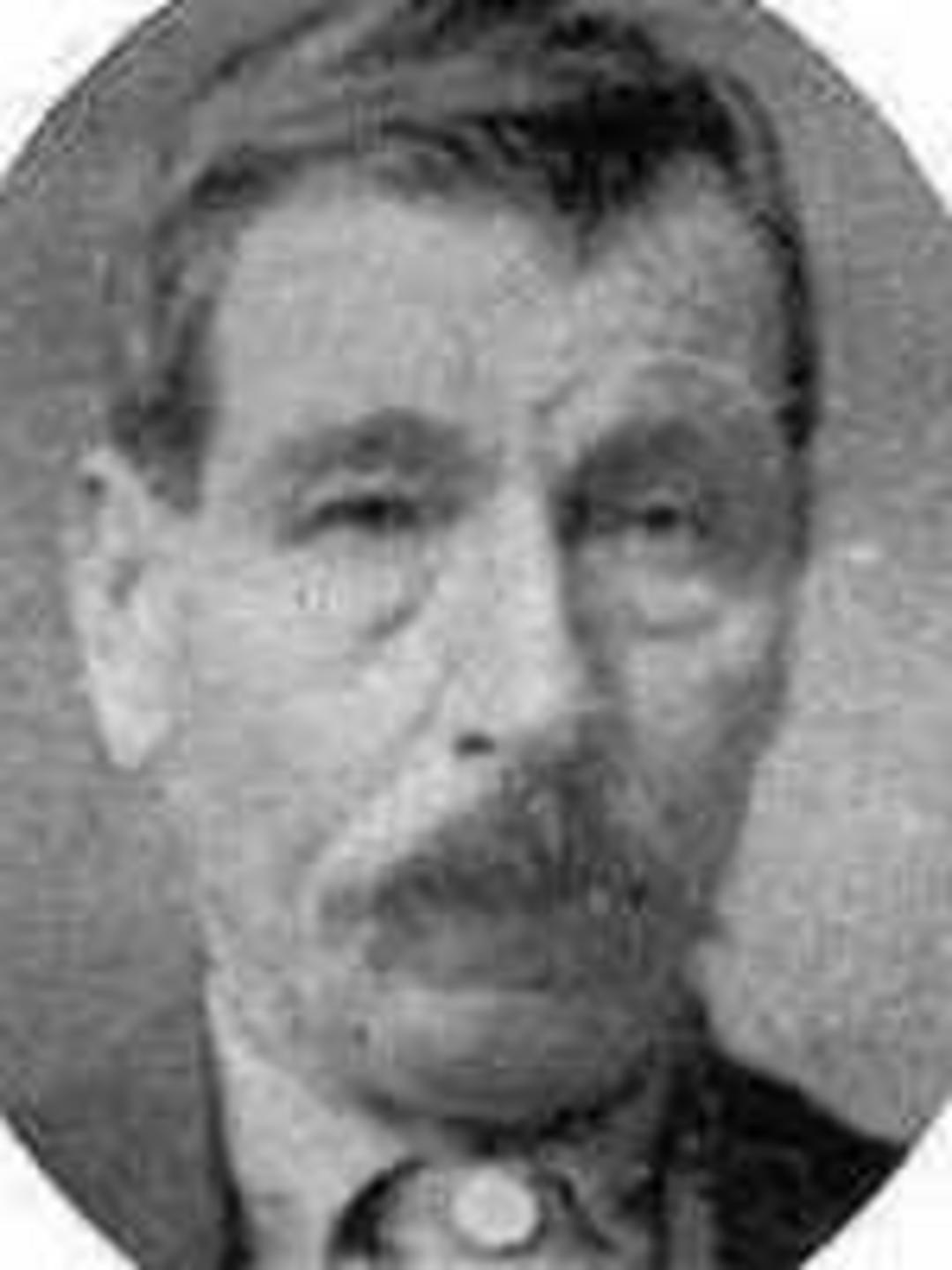 William Henry Green (1850 - 1921) Profile